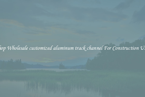 Shop Wholesale customized aluminum track channel For Construction Uses