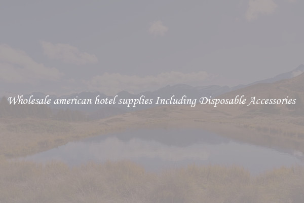 Wholesale american hotel supplies Including Disposable Accessories 