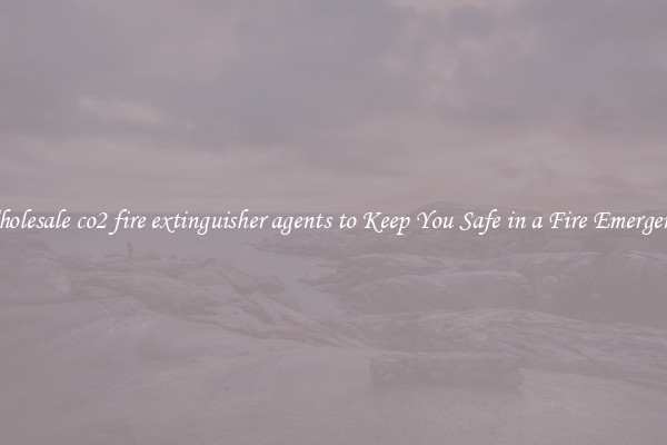 Wholesale co2 fire extinguisher agents to Keep You Safe in a Fire Emergency