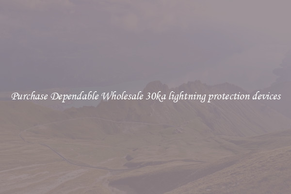 Purchase Dependable Wholesale 30ka lightning protection devices