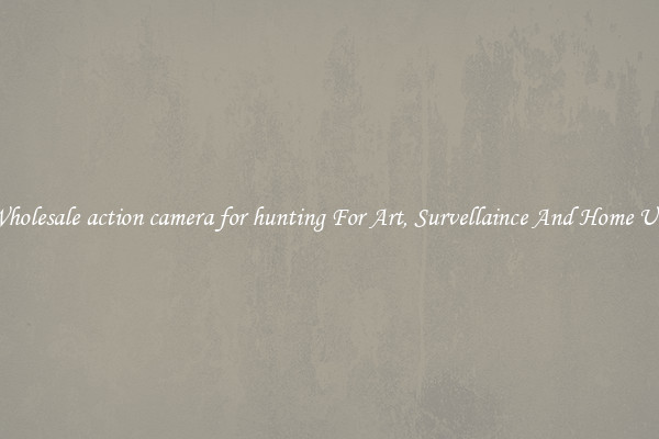 Wholesale action camera for hunting For Art, Survellaince And Home Use