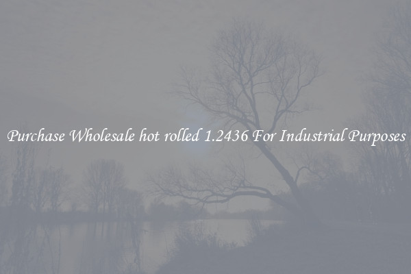Purchase Wholesale hot rolled 1.2436 For Industrial Purposes