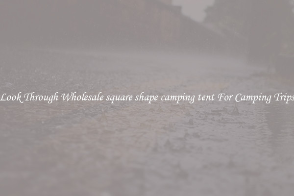 Look Through Wholesale square shape camping tent For Camping Trips