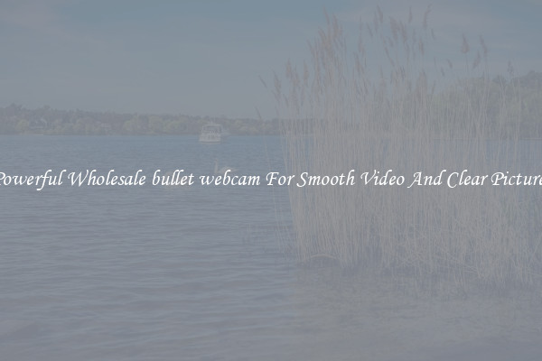Powerful Wholesale bullet webcam For Smooth Video And Clear Pictures