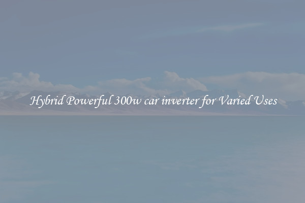 Hybrid Powerful 300w car inverter for Varied Uses