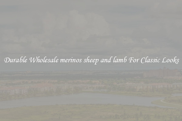 Durable Wholesale merinos sheep and lamb For Classic Looks