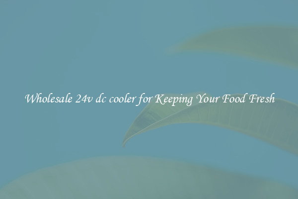 Wholesale 24v dc cooler for Keeping Your Food Fresh