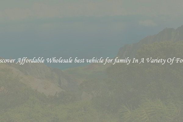 Discover Affordable Wholesale best vehicle for family In A Variety Of Forms