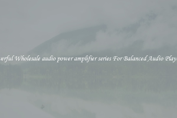 Powerful Wholesale audio power amplifier series For Balanced Audio Playback