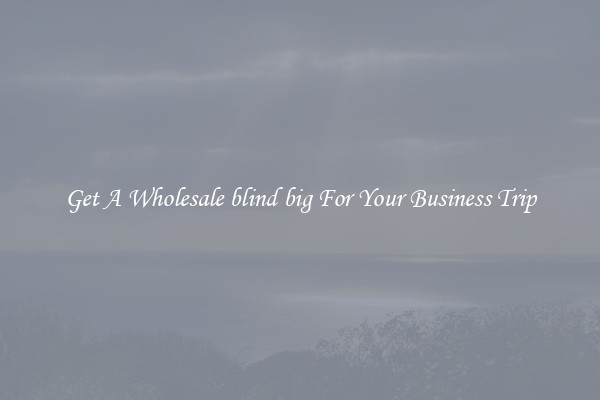 Get A Wholesale blind big For Your Business Trip