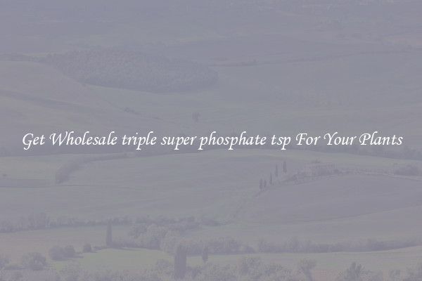 Get Wholesale triple super phosphate tsp For Your Plants