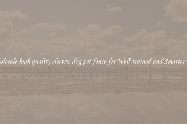 Wholesale high quality electric dog pet fence for Well-trained and Smarter Pets