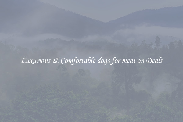 Luxurious & Comfortable dogs for meat on Deals